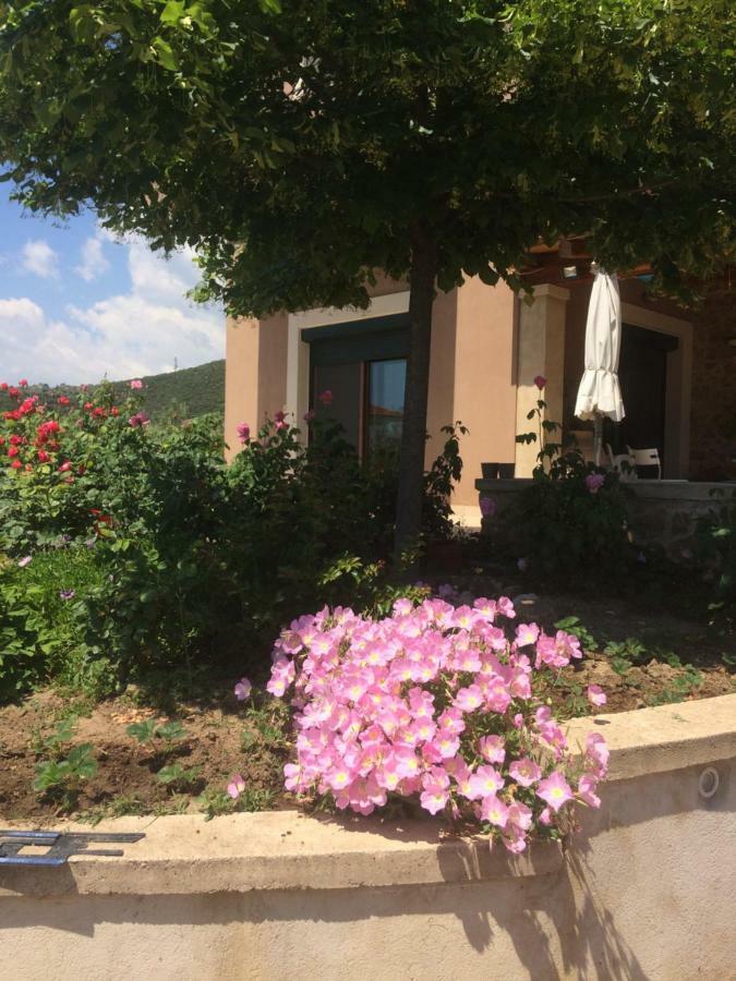 Olive Tree Cottage Néa Péramos Екстериор снимка