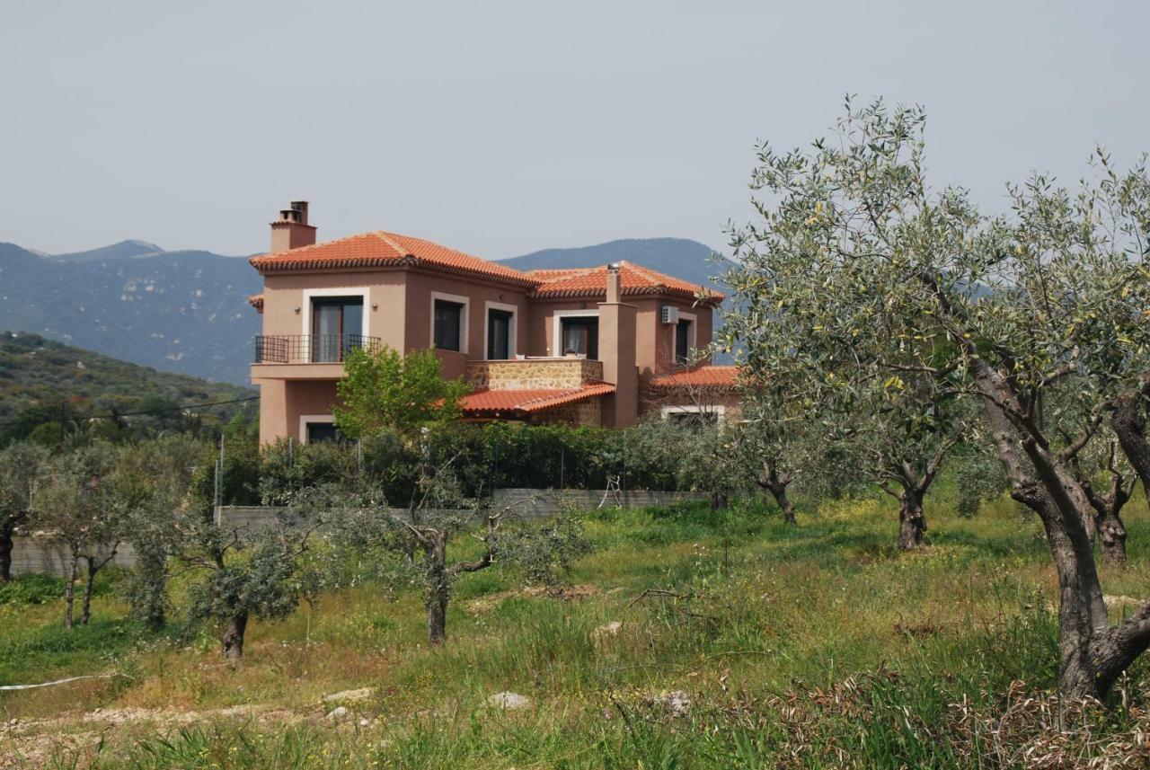 Olive Tree Cottage Néa Péramos Екстериор снимка